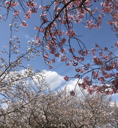 ご自宅での看取り